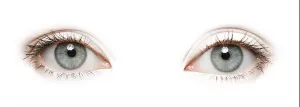 Eyelid Prints: Beautiful human eyes on white background. Banner design