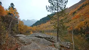 Forest Mountain Prints: Beautiful landscape with autumn forest in mountain valley and peaks on horizon