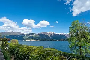 Como Lake Prints: Beautiful landscape with garden in Tremezzo - Como lake in Italy