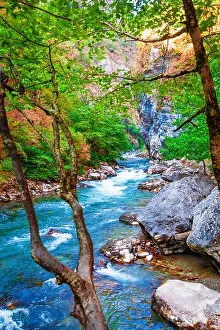 Green Forest Prints: beautiful landscape, nature. forest mountain and blue stream