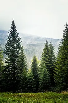 Tatra Prints: A beautiful misty Slovakian mountain scenery in Low Tatras