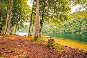 Images Dated 25th July 2017: Beautiful mountain lake in the forest, bright summer day. Tranquil nature landscape