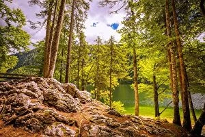 Images Dated 25th July 2017: Beautiful mountain lake in the forest, bright summer day. Tranquil nature landscape