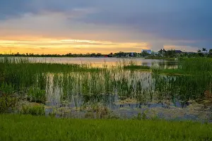 Alligator Prints: Beautiful nature landscape at sunset. Lake wildlife in Wellen park in Venice, Florida