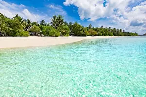 Idylli Prints: Beautiful palm tree on tropical island beach on background blue sky with white clouds and turquoise ocean on sunny day