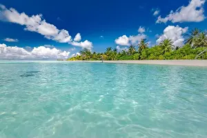 Beautiful palm tree on tropical island beach on background blue sky with white clouds and turquoise ocean on sunny day. Perfect natural landscape