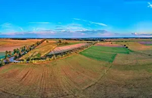 Bark Beetle Prints: Beautiful panoramic aerial drone view to Bialowieza Forest - one of the last