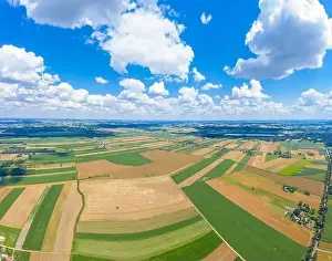 Beautiful panoramic aerial view photo from flying drone to Meadow with dandelions on a sunny day