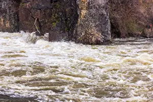Captivating Prints: Beautiful river flows from the base of the mountain