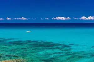 Mesquida Prints: Beautiful sandy beach of Cala Mesquida