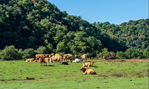 Roaming Prints: Beautiful scene in the Veio Regional Park, near Formello, Province of Rome, Lazio, Italy