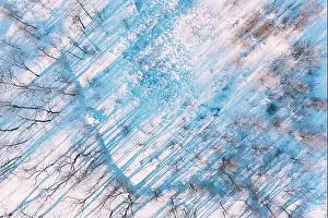 Frosted Prints: Beautiful Snowy White Frozen Frosted Trees Park In Winter Sunny Frosty Day