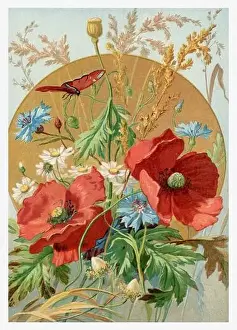 Spring Time Prints: Beautiful Summer Flowers. Seasonal illustration of The illustrated London Almanack (1845 to 1895)