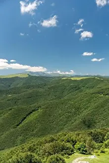 Apennines Prints: Beautiful summer landscape of a vast forest covering rolling hills under a blue sky with clouds