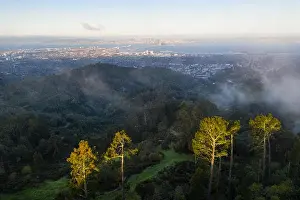 A beautiful sunrise illuminates the hills surrounding San Francisco Bay in Northern California. This area is often covered by a thick marine layer