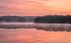 Images Dated 31st August 2019: Beautiful sunrise landscape with misty mood and calm lake at foggy summer morning in Finland