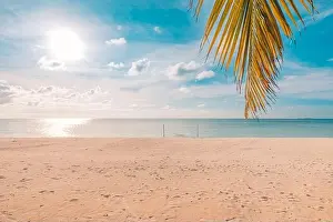 Beautiful sunset over the sea with palm tree leaf on the tropical beach and blue sky for travel in holiday relax time. Summer beach sunset, seaside