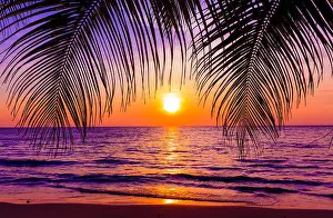 Bounty Prints: Beautiful sunset. Sunset over the ocean with tropical palm trees. Paradise beach