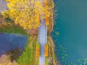 Foot Bridge Prints: Beautiful travel or tourism style look down aerial of pedestrian foot bridge across River at park with colorful fall