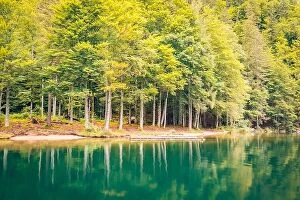 Images Dated 25th July 2017: Beautiful trees, lake reflection, tranquil nature. Forest and mountain pass, relaxing scenery