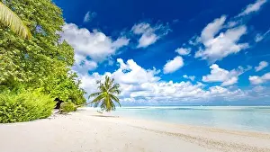 Beautiful tropical beach banner. White sand and coco palms travel tourism wide panorama background concept. Amazing beach landscape. Luxury travel