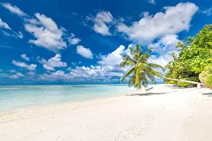 Beautiful tropical beach banner. White sand and coco palms travel tourism wide panorama background concept. Amazing beach landscape. Luxury travel