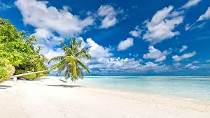 Beautiful tropical beach banner. White sand and coco palms travel tourism wide panorama background concept. Amazing beach landscape. Luxury travel