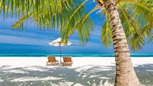 Images Dated 17th December 2018: Beautiful tropical beach banner. White sand and coco palms travel tourism wide panorama background