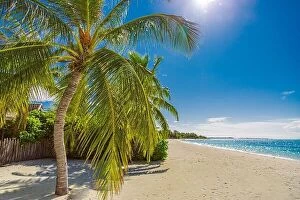Images Dated 11th December 2015: Beautiful tropical beach banner. White sand and coco palms travel tourism panorama