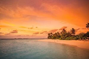 Images Dated 26th October 2019: Beautiful tropical beach banner. White sand coco palms sea travel tourism wide panorama background