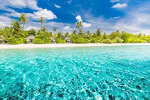 Beautiful tropical beach landscape banner. White sand and coco palms wide panorama background concept. Amazing beach scene use for summer vacation