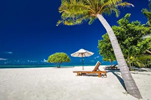 Beautiful tropical beach. White sand and coco palms travel tourism wide panorama background concept. Amazing beach landscape, luxury travel, vacation