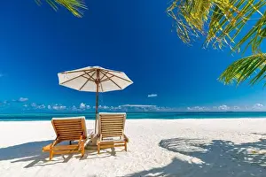 Beautiful tropical beach. White sand and coco palms travel tourism wide panorama background concept. Amazing beach landscape, luxury travel, vacation