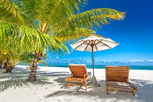 Beautiful tropical beach. White sand and coco palms travel tourism wide panorama background concept. Amazing beach landscape, luxury travel, vacation