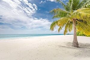 Images Dated 22nd May 2019: Beautiful tropical beach with white sand, palm trees, turquoise ocean against blue sky with clouds