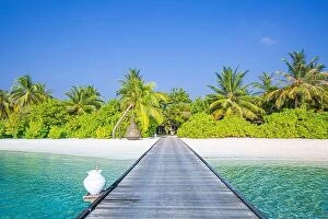 Images Dated 7th January 2017: Beautiful tropical Maldives island with beach jetty sea and coconut palm trees on blue sky for