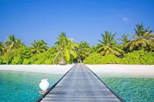 Beautiful tropical Maldives island with beach jetty sea and coconut palm trees on blue sky for nature luxury holiday vacation background concept