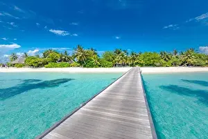 Beautiful tropical Maldives island with beach sea and coconut palm tree on blue sky for nature holiday vacation background concept. Luxury travel