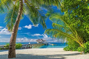 Beautiful tropical Maldives island with beach sea coconut palm tree on blue sky nature holiday vacation background concept. Luxury travel landscape