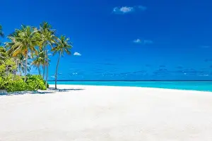 Beautiful tropical Maldives resort hotel island beach and sea and coconut palm tree on sky for holiday vacation background. Luxury travel landscape