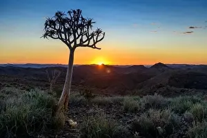 Cameroon Prints: Beautiful view of the African bush. African landscape with trees. Sunset time