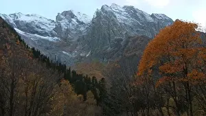 Grass Hill Prints: Beautiful view of autumn trees on background of mountains
