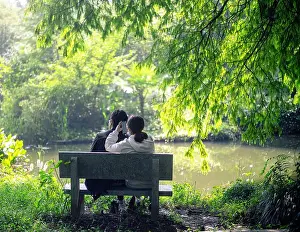 Green Park Prints: A beautiful view of a couple sitting on a bench in the park with green trees on a bright sunny day