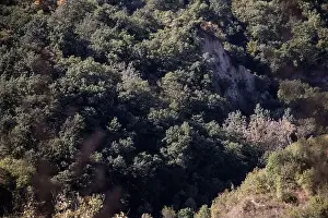 Siena Prints: Beautiful view of the forest of Toscana Italy from above photographed with a drone