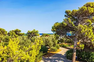 Shrubbery Prints: Beautiful view of tree-lined stone pathway leading towards sea under bright blue sky in sunny garden