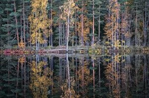 Images Dated 10th October 2018: Beautiful water reflection view with fall colors and lake at autumn day in Finland