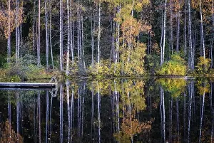 Beautiful water reflection view with fall colors and lake at autumn day in Finland
