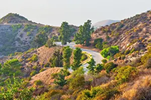Winding Road Prints: Beautiful winding road in Mount Hollywood surrounded by greenery and hills