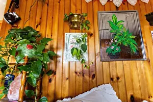 Leafy Prints: Beautiful wood wall covered in green houseplants and images of green houseplants brightly lit