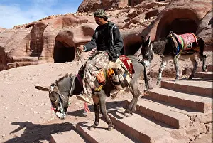 Southwestern Prints: Bedouin riding a donkey or ass (Equus asinus) in the ancient Nabataean rock city of Petra